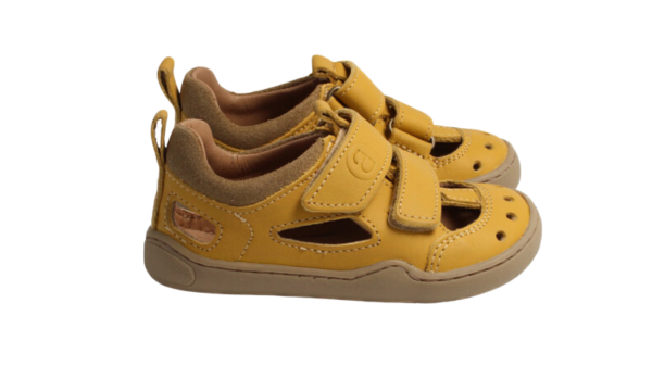 bLifestyle SALAMANDRA