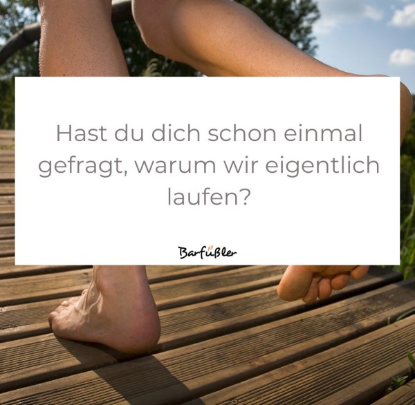 blog-laufen