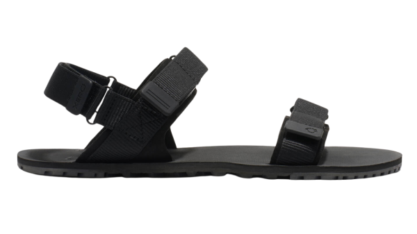 Xero Shoes D-TRAIL Men