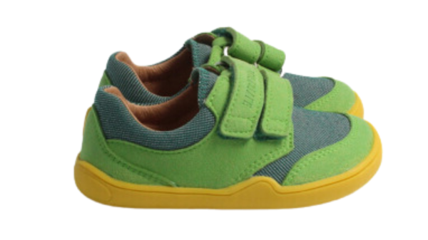 BLifestyle CROCODILE