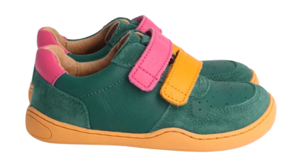 BLifestyle ANURA