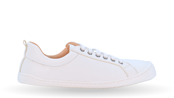 Pololo Plus SNEAKER Leder