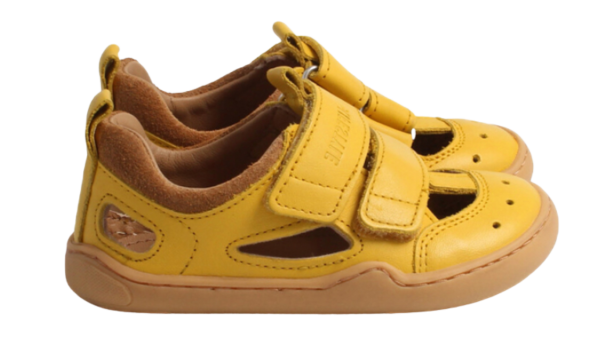 bLifestyle SALAMANDRA