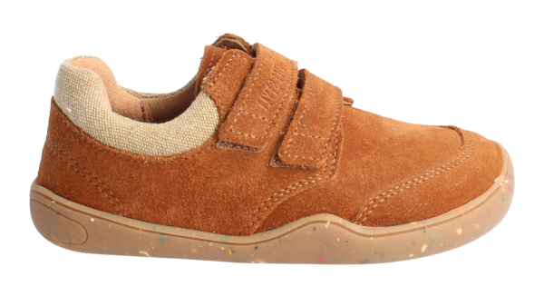 BLifestyle eidechsenSTYLE