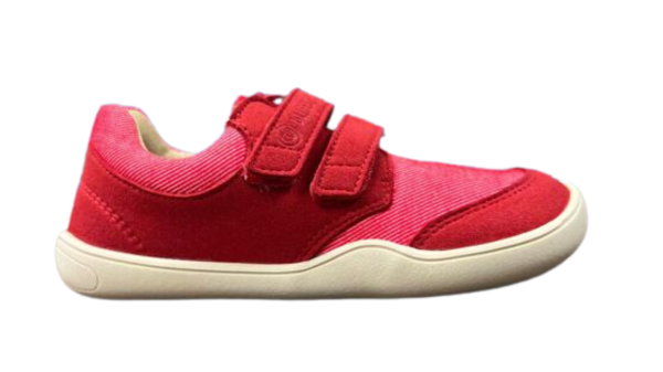 BLifestyle krokodilSTYLE (vorher CROCODILE)